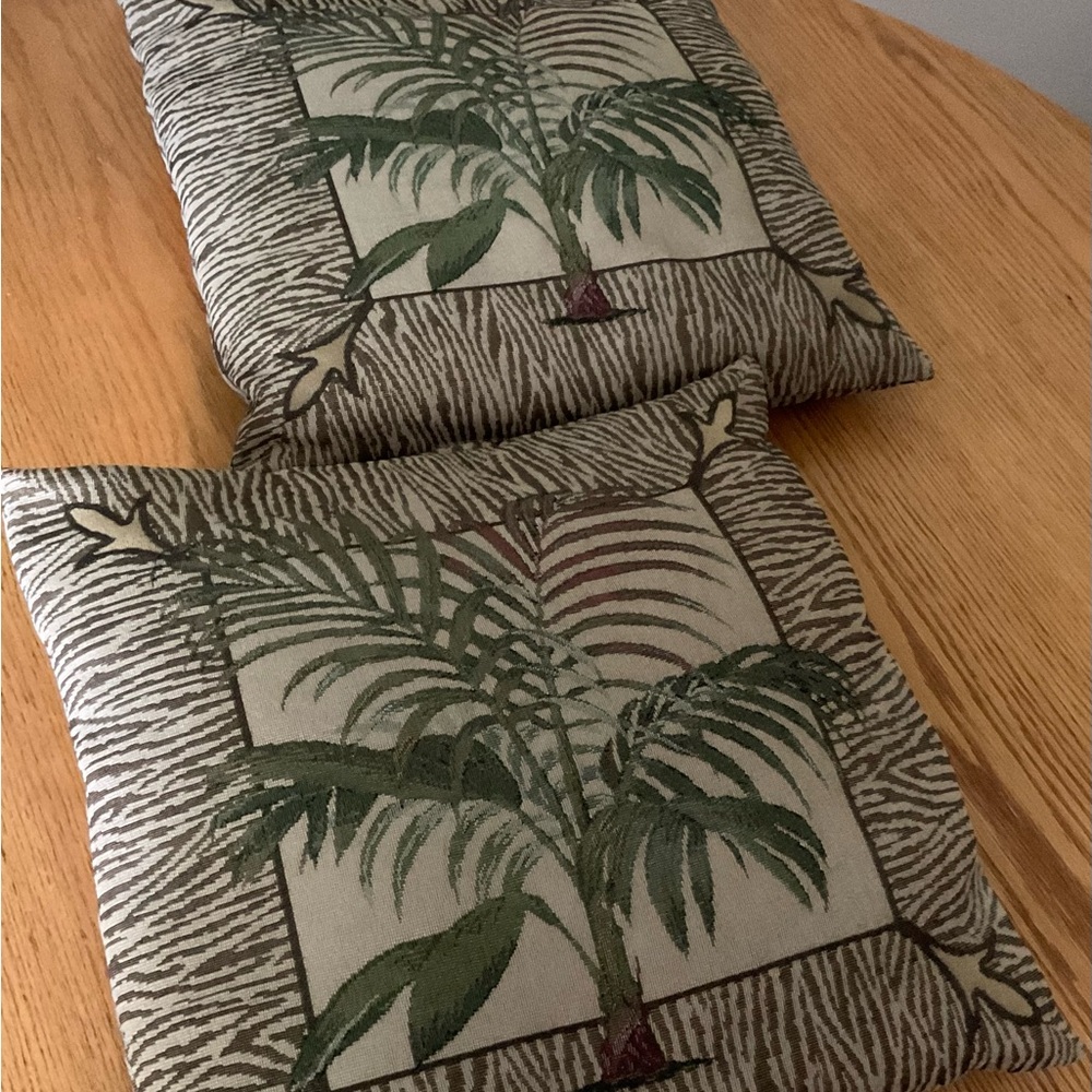 Two 17” Square Accent Pillows